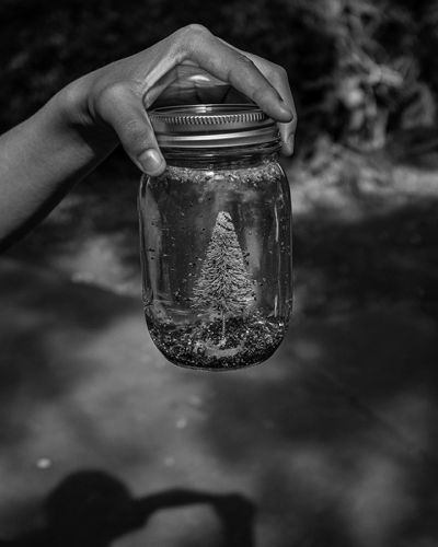 wonggeroux_christmasinabottle_kailua_hawaii_2019