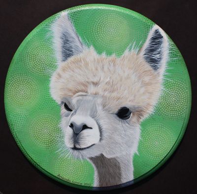 tillyfosteralpaca