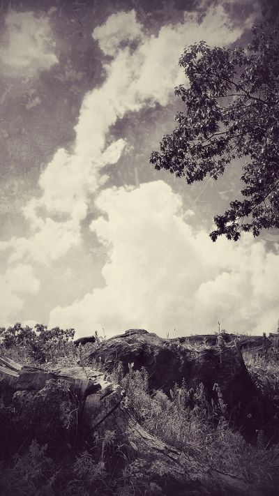 cousensrock_cloud_tree_-22