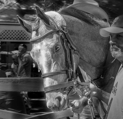 naidich_blackandwhite_6_0