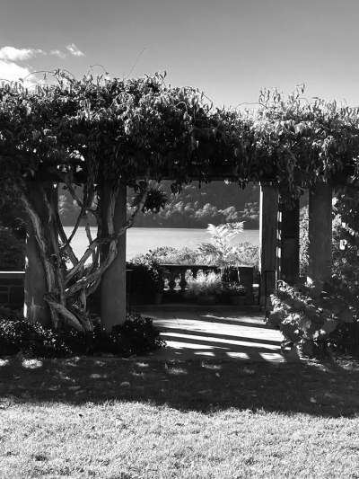 marumcome_into_my_pergola