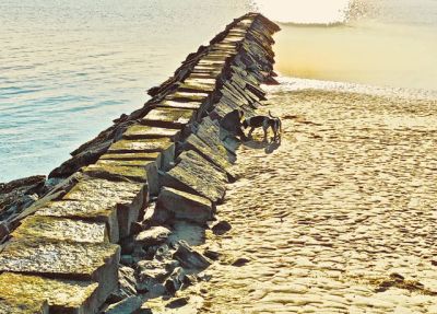 beach