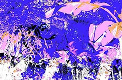 levine_summer_blues_1