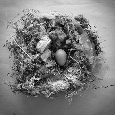 hoeltzel_photography_1