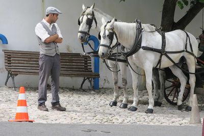 gazes-carriage_driver_and_horses_sintra_hq