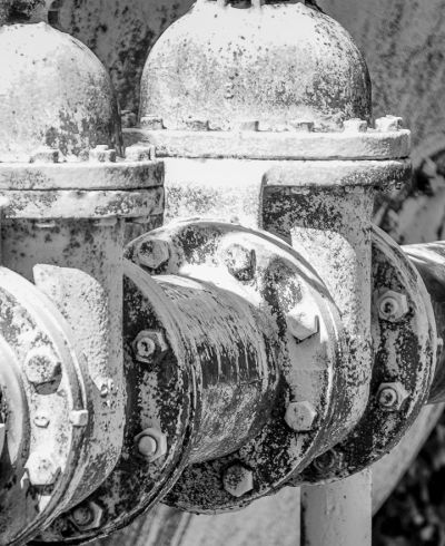 naidich_blackandwhite_5