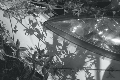 atanasio_blackwhiteandgray_2