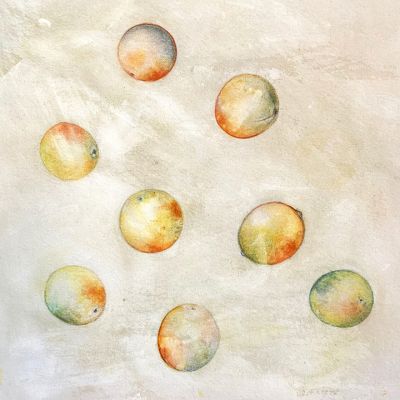 eight_objects