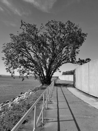 cousensnature_and_cement