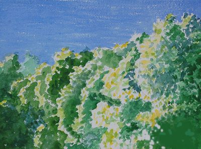 zigmund_members_5