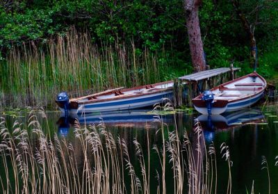 greene-irish_boats_copy