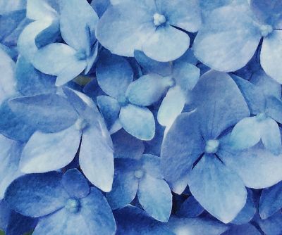 paularomanowetzel_summerblues_3